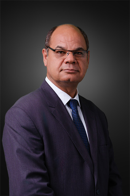 Dr. Ayman Ahmed Mahmoud 