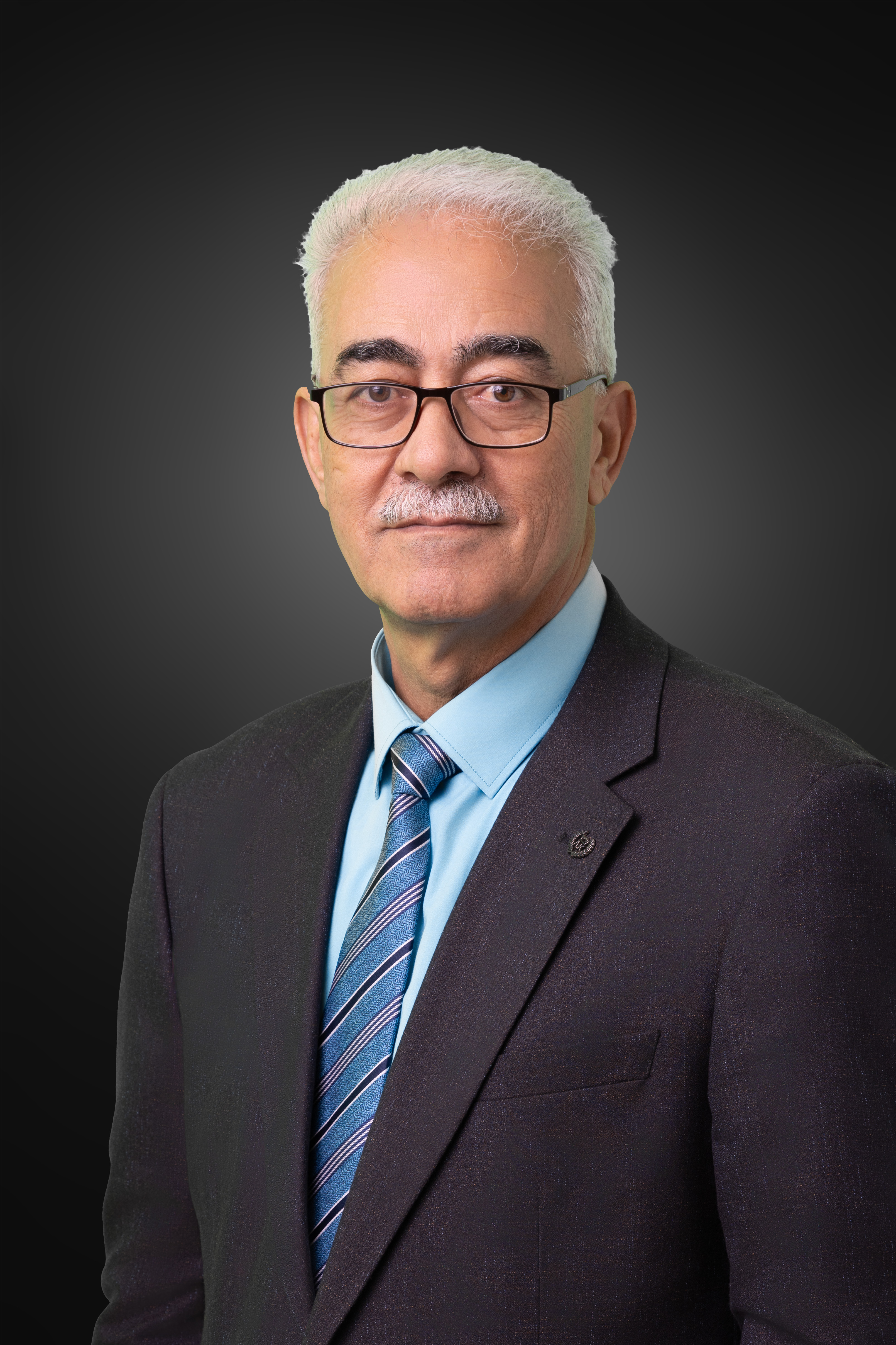 Mr. Mahmoud Mohammad Alruwaidi