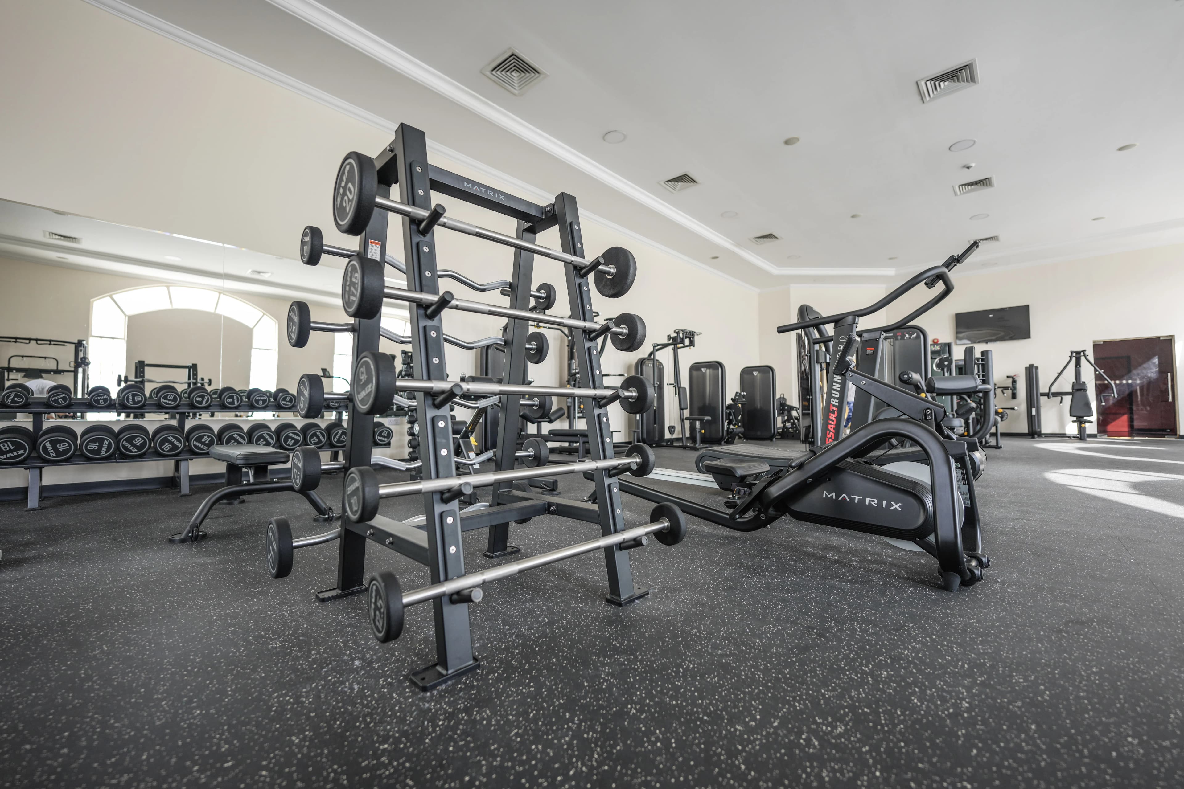 Free-weights and strength area