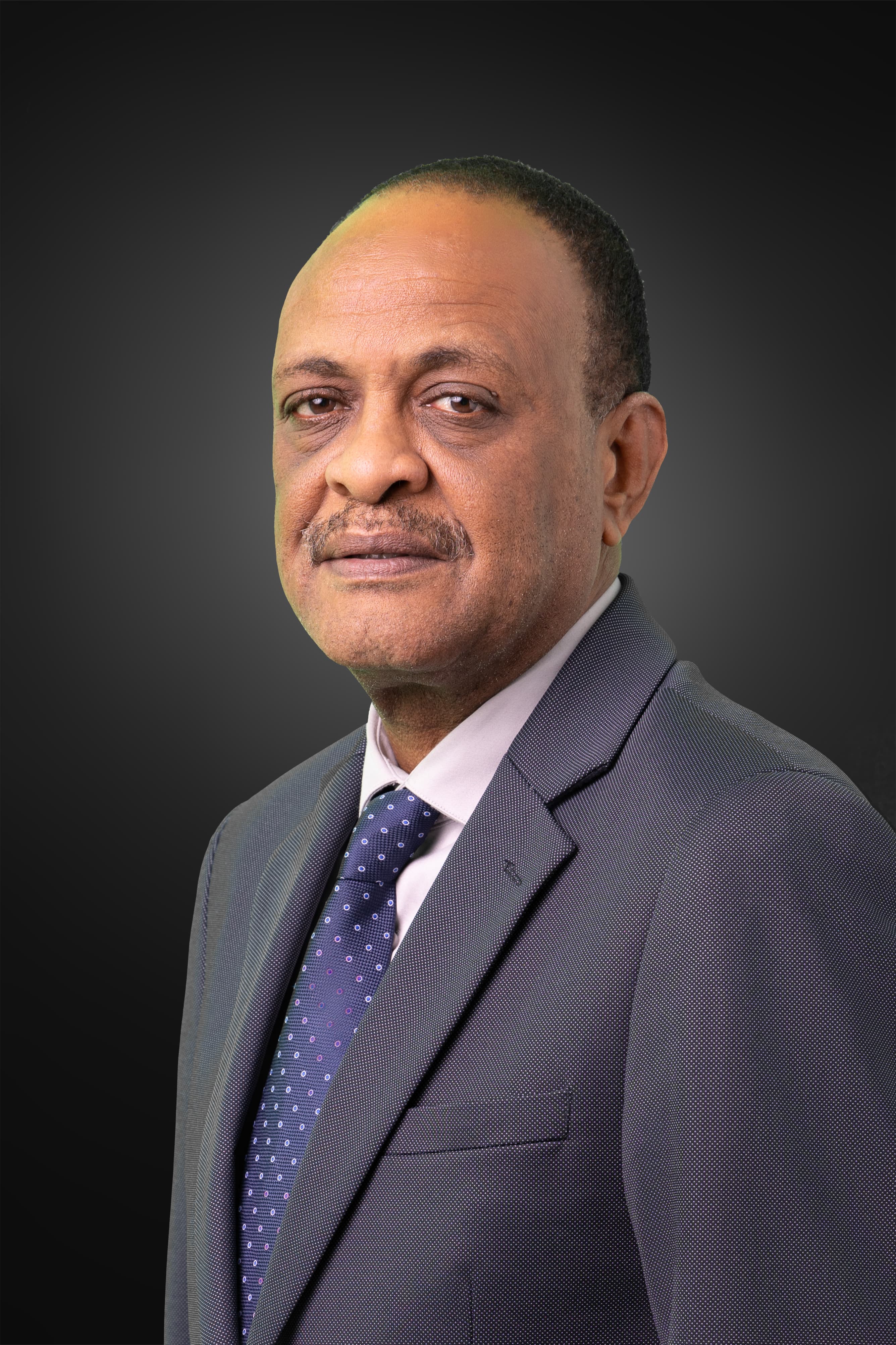 د. عثمان سيراج الدين فتح الرحمن