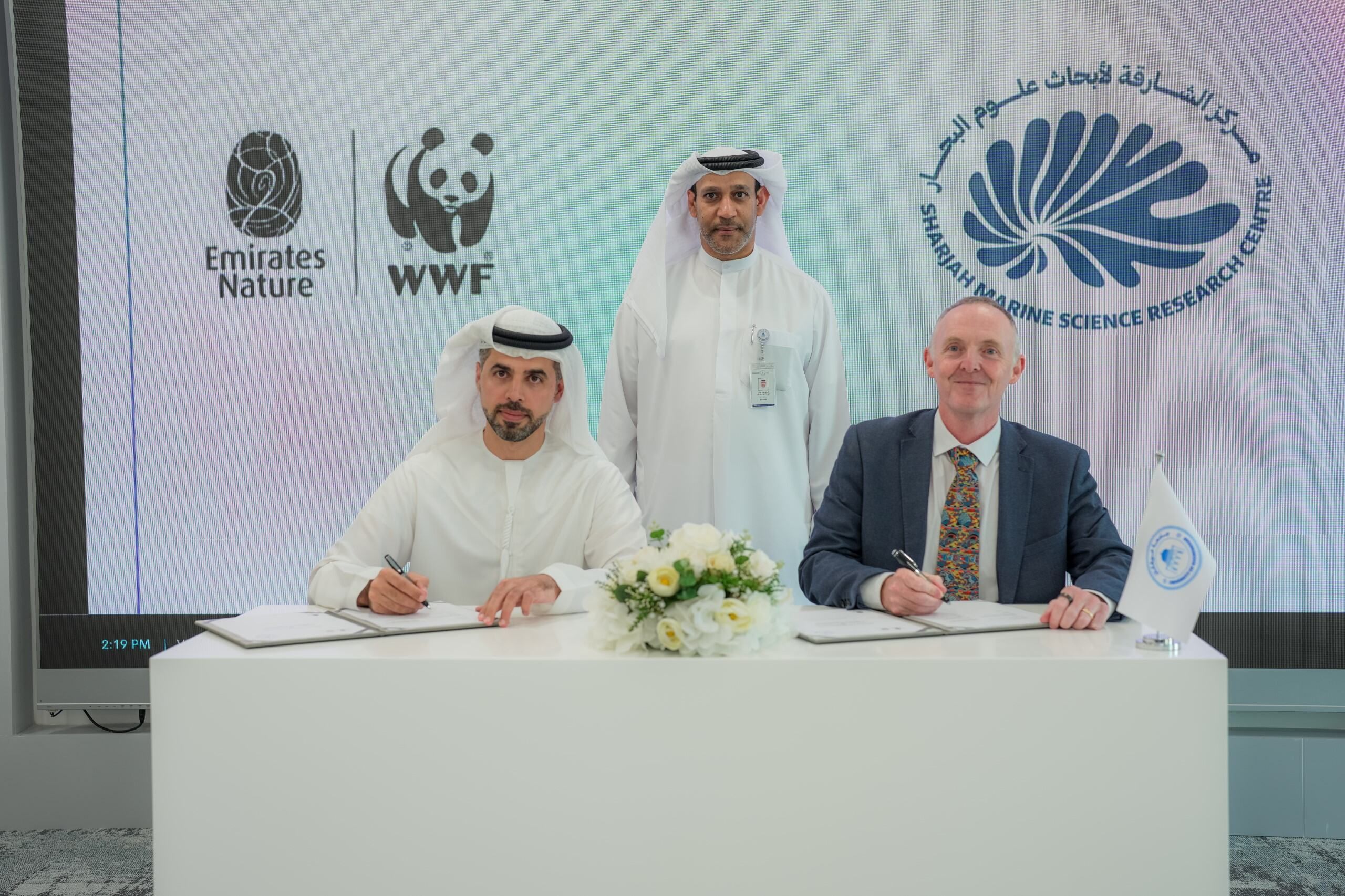 صورة من الخبر